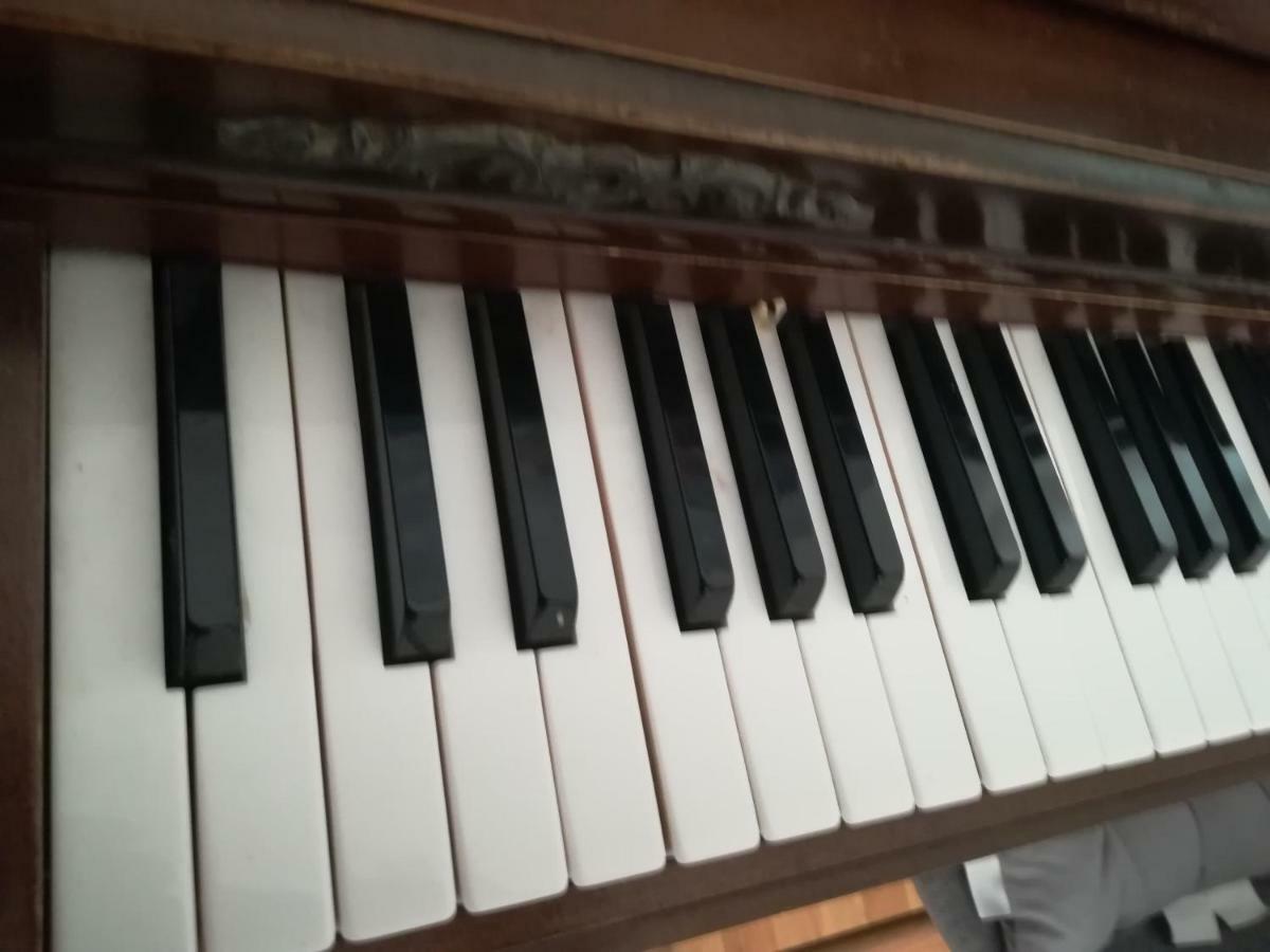 The Piano Apartment Zavalatica Exteriér fotografie